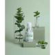 CENTIFOLIA Koncentrovana tečnost za ispiranje usta - 250ml - EP3201008