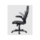 TRUST Gaming stolica GXT703R Riye, crna - 25128