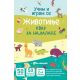 Karte - Životinje: kviz za najmlađe - 26485-1