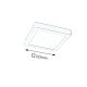 RABALUX Ugradna rasveta Lois LED 18W - 2668