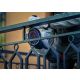 BOSCH EXPERT Dijamantska ploča za sečenje metala Best for Metal 125 x 22,23 mm - 2608900533