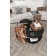 HANAH HOME Set klub stolova Yi Yang4L 70, braon/crna - EP3056894