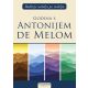 Buđenje nedelju po nedelju: Godina s Antonijem de Melom - 28890
