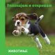Upoznajem i otkrivam: Životinje - 29503
