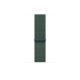 APPLE Pametni sat SE2 v3 GPS 40mm, Starlight Alu Case sa Lake Green Sport Loop - 295390
