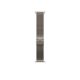 APPLE Pametni sat Ultra2 v2 Cellular 49mm, Natural Titanium Case sa Natural Titanium Milanese Loop - M - 295398