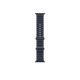 APPLE Pametni sat Ultra2 v2 Cellular 49mm, Natural Titanium Case sa Navy Ocean Band - 295402