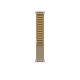 APPLE Pametni sat Ultra2 v2 Cellular 49mm, Natural Titanium Case sa Tan Alpine Loop - Small - 295404