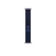 APPLE Pametni sat Ultra2 v2 Cellular 49mm, Natural Titanium Case sa Blue Trail Loop - M/L - 295410