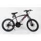 WINNER BIKE BIC.20