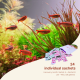 Nanobit 2Hr Aquarist APT Balance - EP3105675