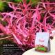 Nanobit 2Hr Aquarist APT Feast - 5L - EP3105687