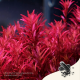 Nanobit 2Hr Aquarist APT Jazz - Large 54 caps - EP3105693