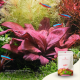 Nanobit 2Hr Aquarist APT Start - EP3105708