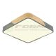 FORMA LED plafonska lampa 30W 3000K-6400K F2812-30C SV-drvo - 005097