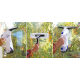 AR BLUE CLEAN akumulatorski čistač prozora MAGIC BLUE 16W - 3030017