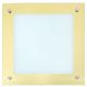 RABALUX Plafonjera Lars LED 18W - 3046