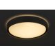Rabalux Plafonjera Achilles LED 40W crna (3146) - 3146-1