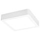 RABALUX Ugradna rasveta Shaun LED 24W - 3176