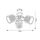 Rabalux Spot rasveta Miguel E14 3x MAX 40W hrast (3246) - 3246