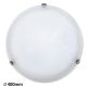 Rabalux Plafonjera Alabastro E27 2x MAX 60W belo staklo - alabaster (3302) - 3302