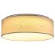 RABALUX Plafonjera Otilia LED 22W - 3308