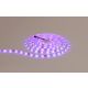 FORMA LED traka 12V LTB5050-30-RGB IP44 - 001576