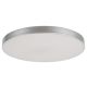 Rabalux Plafonjera Tesia LED 60W srebrna (3317) - 3317