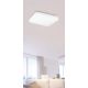 Rabalux Plafonjera Rob LED 20W bela (3340) - 3340
