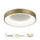FORMA LED plaf. lampa 66W 3000K-6400K F2049-66C SGA - 005807-1