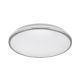 Rabalux Plafonjera Linden LED 50W hrom (3478) - 3478