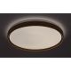 Rabalux Plafonjera Sherwood LED 50W bukva (3500) - 3500