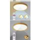 Rabalux Plafonjera Sherwood LED 50W bukva (3500) - 3500