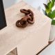 HANAH HOME TV komoda Veramont - EP3057359