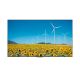 HISENSE Digital signage 65