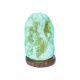 Rabalux Dekorativna rasveta Wasabi LED 1W hrast (3680) - 3680