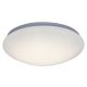 Rabalux Plafonjera Lucas LED 18W bela (3937) - 3937