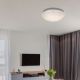 Rabalux Plafonjera Lucas LED 24W bela (3938) - 3938
