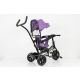 WINNER BIKE BIC.HH-6388 TRIKE PURPLE - BCK0325