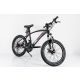 WINNER BIKE BIC.20
