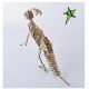 3d drvena puzzle  - PARASAUROLOPHUS - 95-1-1