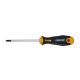 Felo Šrafciger Ergonic TORX TX20 x 100 40820340 - 40820340