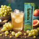 NATURE'S Well Biome Kombuha Muskat grožđe, 15 kesica, 75gr - MedSan599