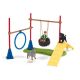 SCHLEICH Zabava za pse - 42536