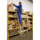 Krause Prislone Merdevine 10 Gazišta   Corda 2,8m - 440