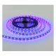 FORMA LED traka 12V LTB5050-60-B IP20 BL - 001578