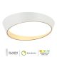 FORMA LED plafonska lampa F2098-75C WH+SG - EP2794143
