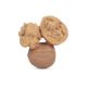 OLI AND CARROL Glodalica orah Nutty - 45-1-1
