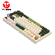 FANTECH Gejmerska mehanička tastatura MK910 MAXFIT81 MILKY MATCHA (ŽUTI SWITCH) - 211106