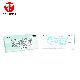FANTECH Gejmerska mehanička tastatura MK856 MAXFIT87 MINT EDITION (PLAVI SWITCH) - 99924